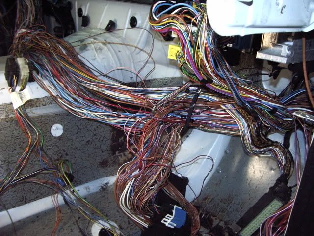 Spec E36 Build - 328i - Page 6